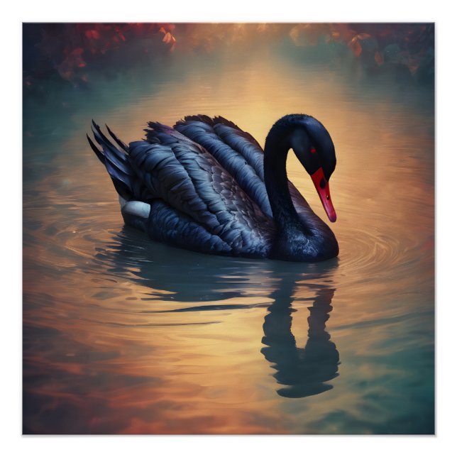 Black Swan no 4 Glossy Poster (Devant)