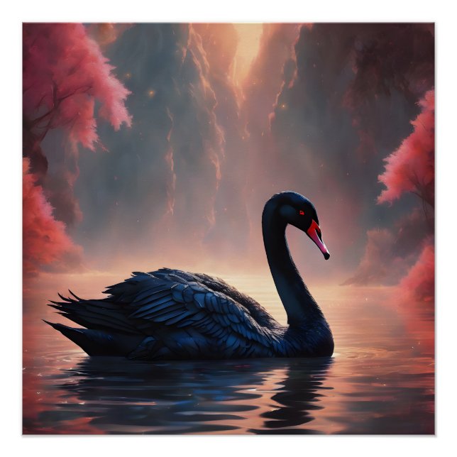 Black Swan no 5 Glossy Poster (Devant)