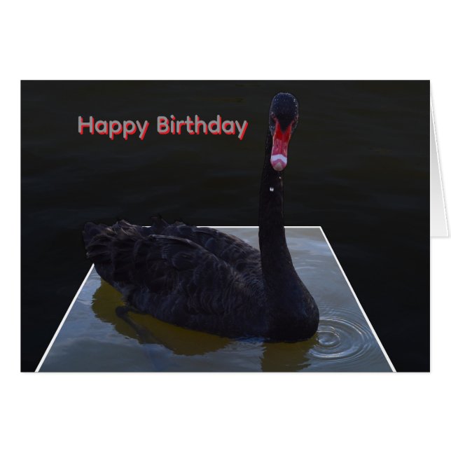 Black Swan Swimming In Dimensional Pond, (Devant horizontal)
