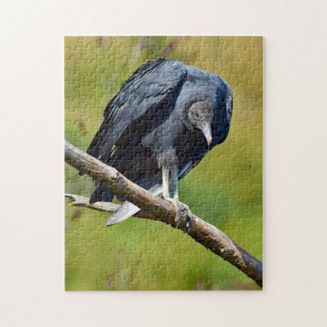Black Vulture Wildlife Jigsaw Puzzle (Vertical)