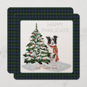 Black Watch Tartan Ancien Joyeux Chien Pawlidays