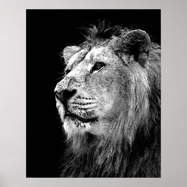 Black White Lion Poster - Animal Photography Art (Devant)