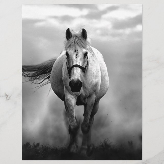 Black White Runse Horse Freedom (Devant)