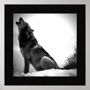 Black & White Wolf Howing at Moon Poster Imprimer
