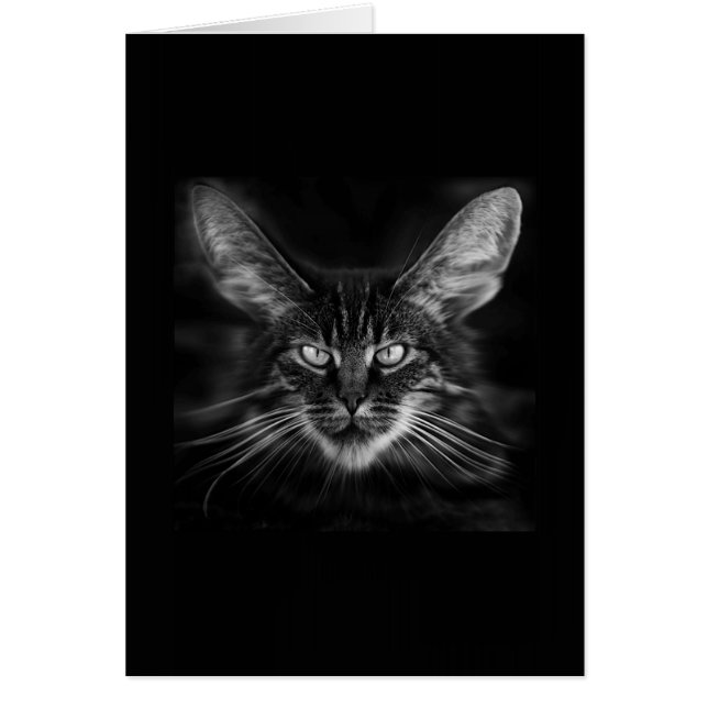 BLACKAT (Devant)