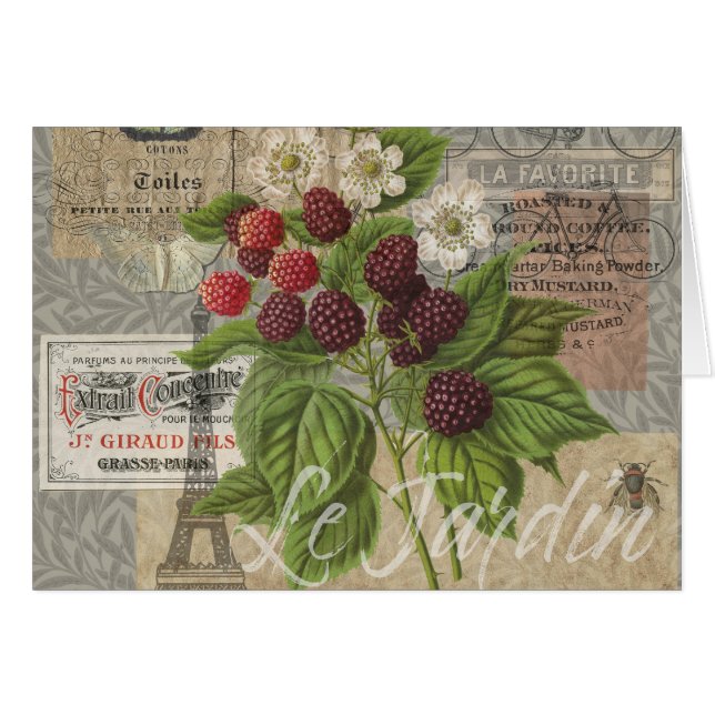 Blackberries Floral Garden Flower Papillon Art (Devant horizontal)