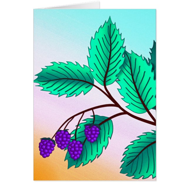 Blackberries sur une branche (Devant)