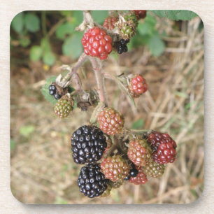 Blackberry Bonanza Cork Dessous de verre