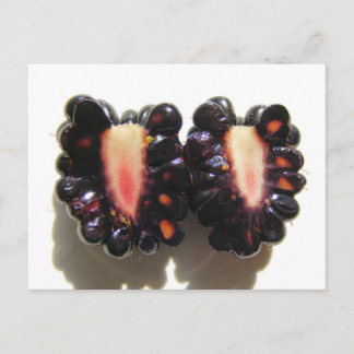 Blackberry tranché ~ carte postale