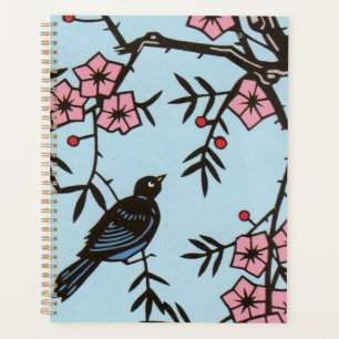 Blackbird dans cerisier Fleurs roses Baies rouges
