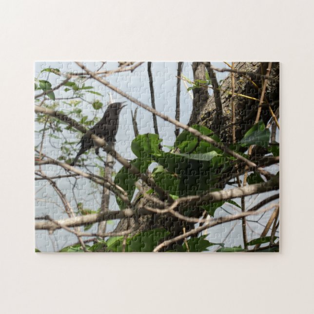 Blackbird Singer Puzzle Puzzle (Horizontal)