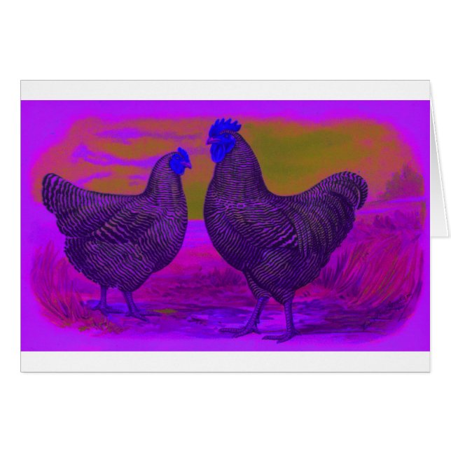 BlackLight (Devant horizontal)