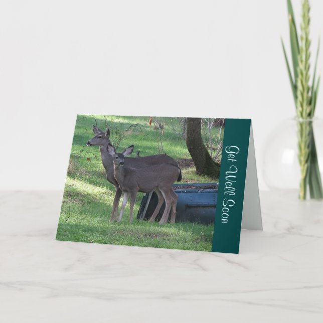 Blacktail Deer s'en sortent bien bientôt Carte de  (Devant)