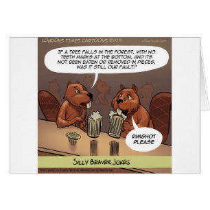 Blagues Idiotes de Castor Drôle de Dessin Animé