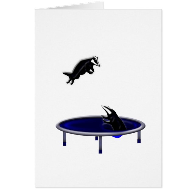blaireaux trampolining (Devant)