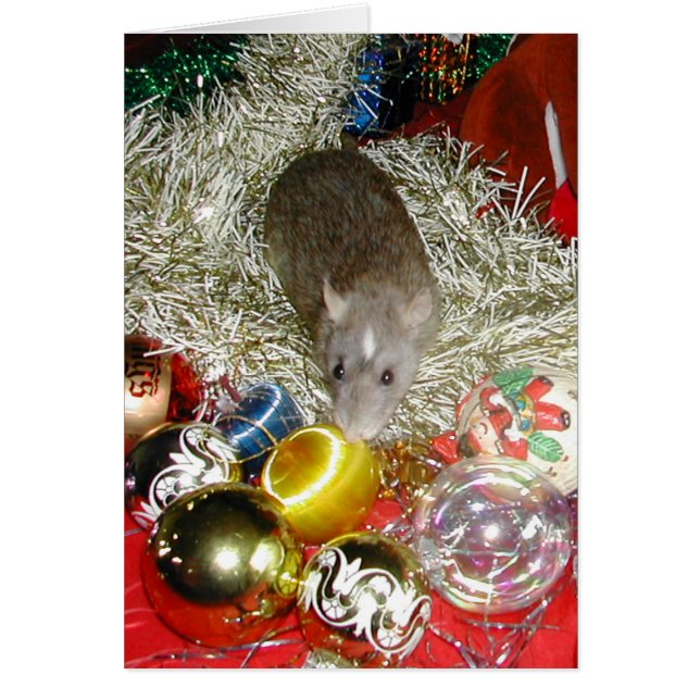 Blaize et les Baubles (Devant)