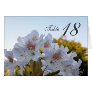 blanc azalée fleurs dîner table numéro carte