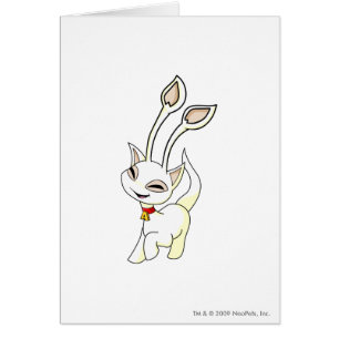 Blanc d'Aisha
