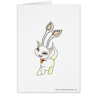 Blanc d'Aisha
