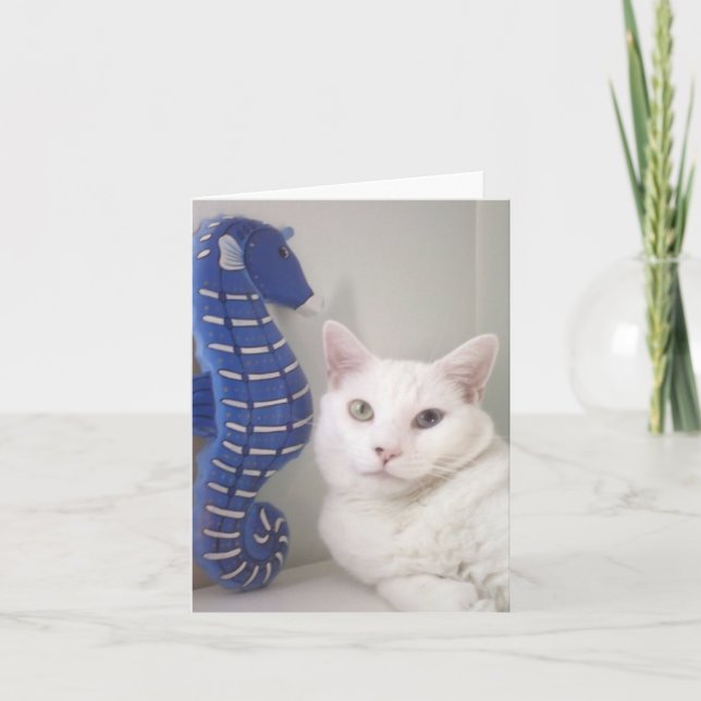 Blanc de carte de voeux à l'intérieur (Devant)