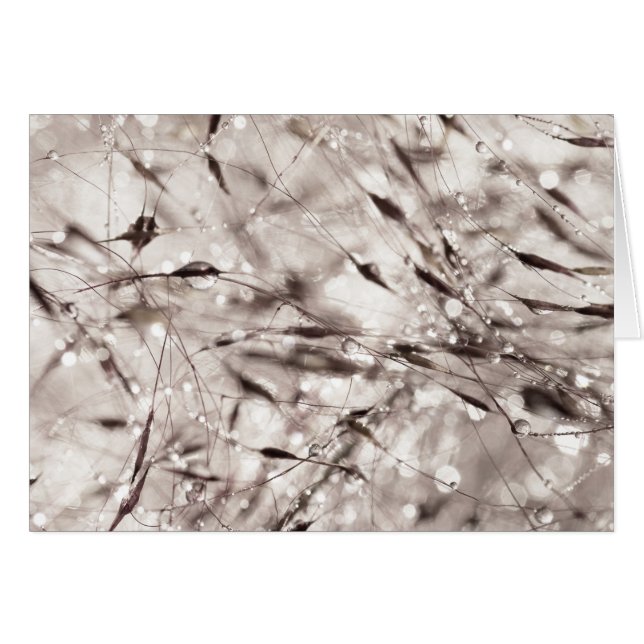 Blanc noir blanc Abstrait Texture de l'herbe humid (Devant Horizontal)