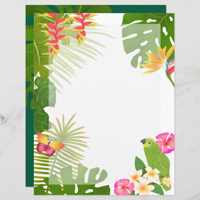 Blanc Paradis Tropical (Devant / Derrière)