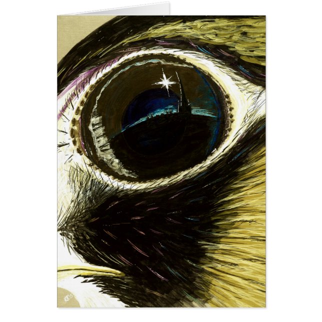 Blanc pérégrin d'oeil (Devant)