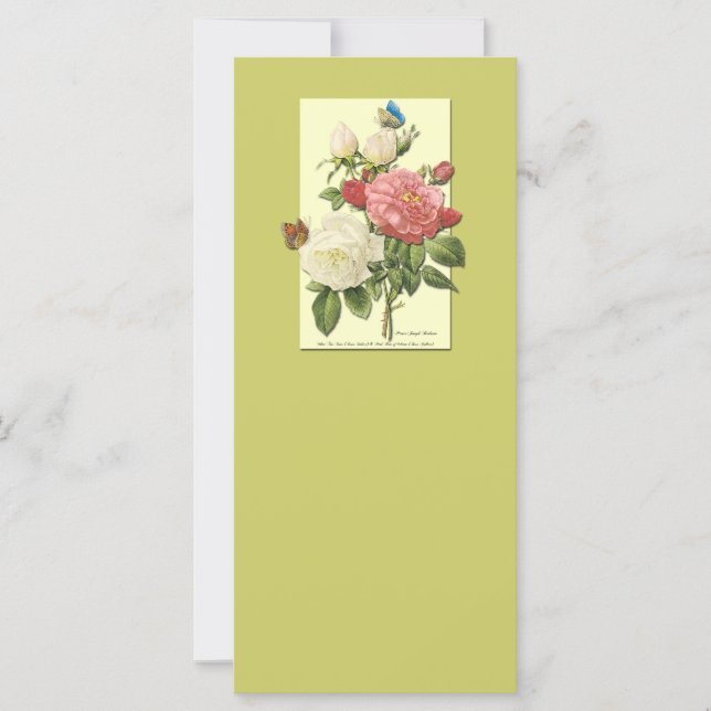 Blanc rose Vintage Roses botaniques (Devant)