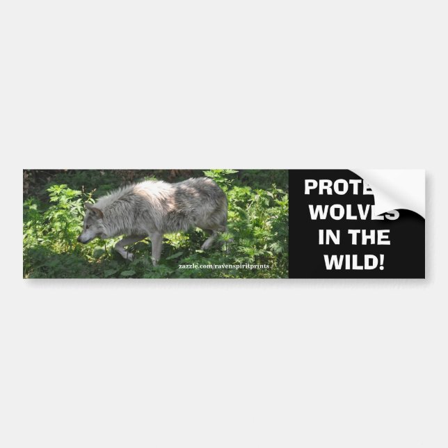 BLANC WOLF Wildlife Conservation Bumper sticker (Devant)