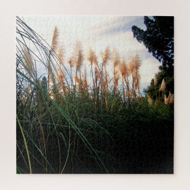 Blancs Pampas Grass Fleurs, Puzzle (Vertical)