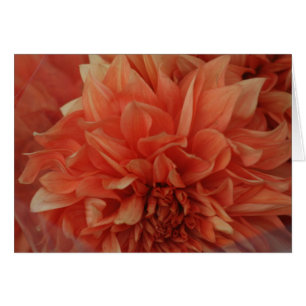 *Blank rouge de carte de fleur
