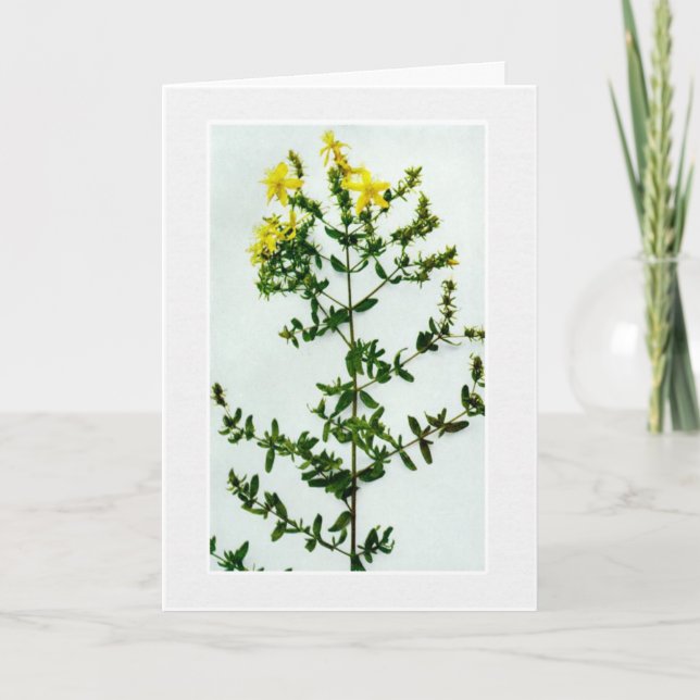 Blank Yellow Fleurs sauvages carte de voeux (Devant)