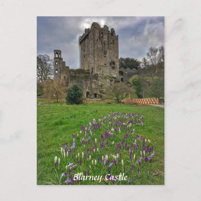 Blarney Castle, Comté de Cork, Irlande Carte posta (Devant)