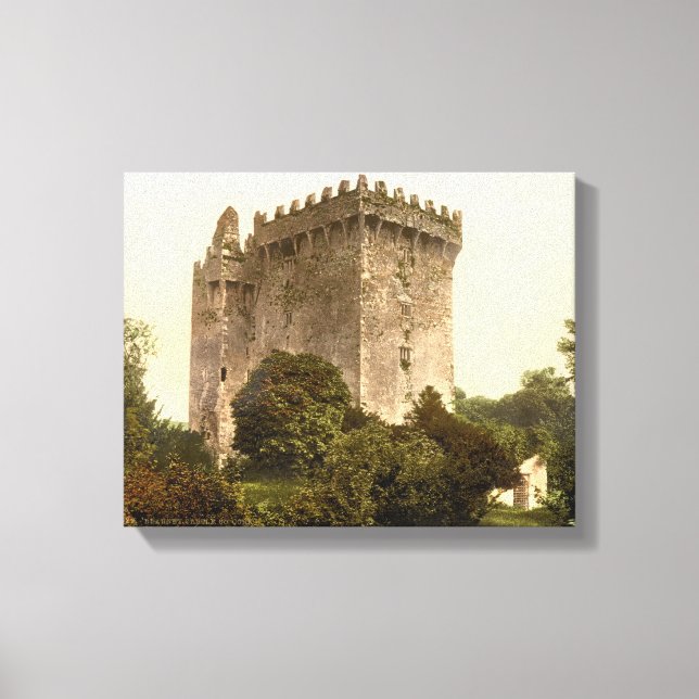Blarney Castle Cork, Irlande c1900, impression vin (Recto)
