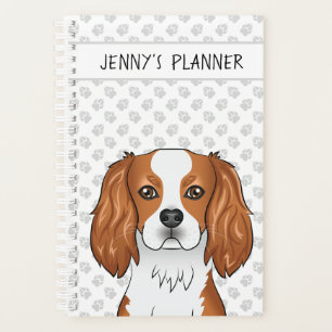 Blenheim Cavalier King Charles Spaniel Chien & Tit