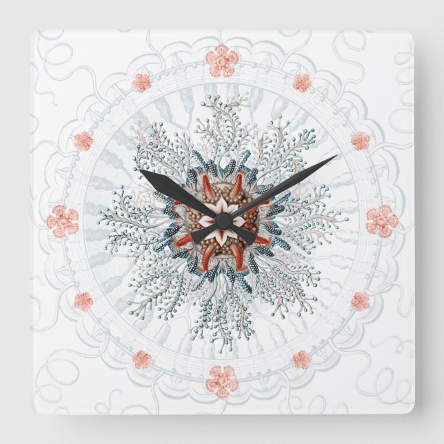 Bleu bouton méduse et étoiles de mer Horloge mural (Recto)