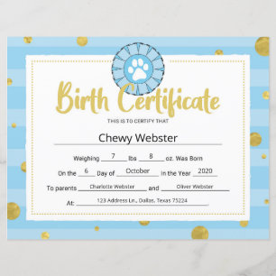 Bleu Chien Paw Clip Art Chiot Certificat de naissa