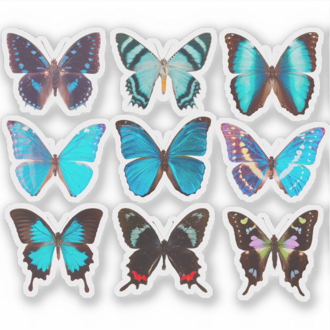 Bleu Collection Papillon 4" Sticker Vinyl (Devant)