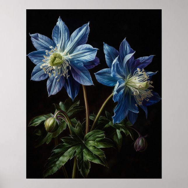 Bleu Columbine Fleurs Art Imprimer Poster (Devant)