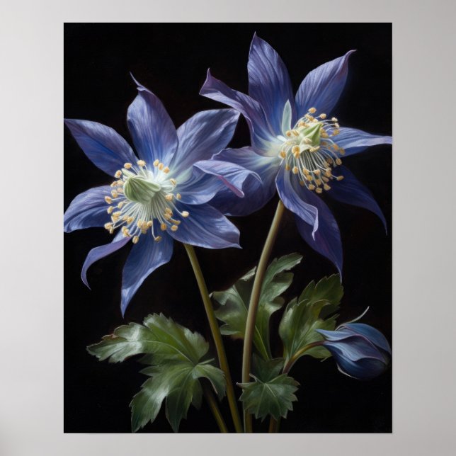 Bleu Columbine Fleurs Art Imprimer Poster (Devant)