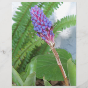 Bleu cône fleur bromélique