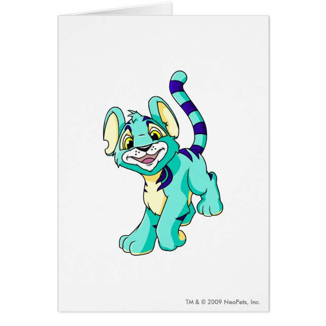 Bleu de Kougra (Devant)