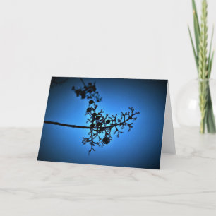 Bleu d'hiver, carte