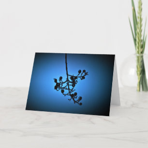 Bleu d'hiver, carte