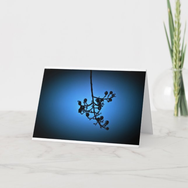 Bleu d'hiver, carte (Devant)