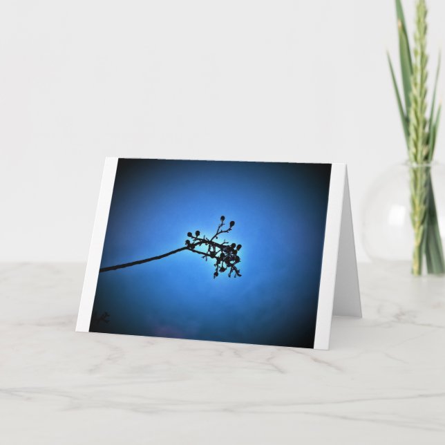 Bleu d'hiver, carte (Devant)