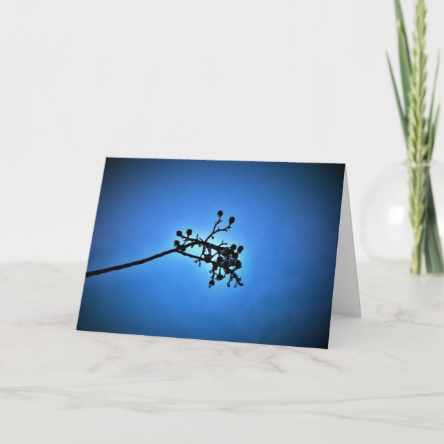 Bleu d'hiver, carte (Devant)
