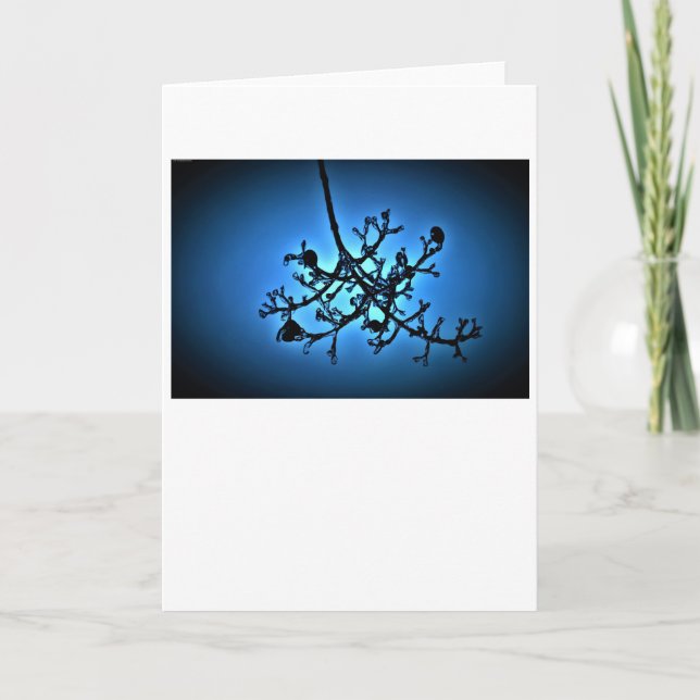 Bleu d'hiver, carte (Devant)