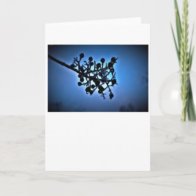 Bleu d'hiver, carte (Devant)