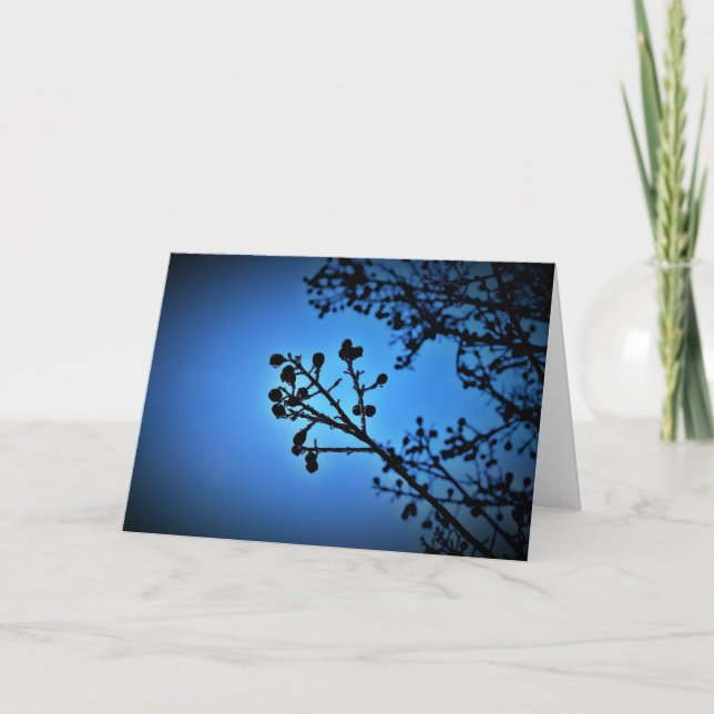 Bleu d'hiver, carte (Devant)